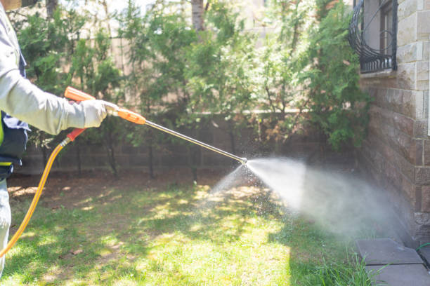 Best Commercial Pest Control  in Montrose, MI